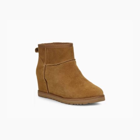 UGG Classic Femme Mini Brown Boots for Women (NXPM20756)